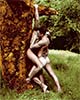 On a Tree  (original male nude art print)